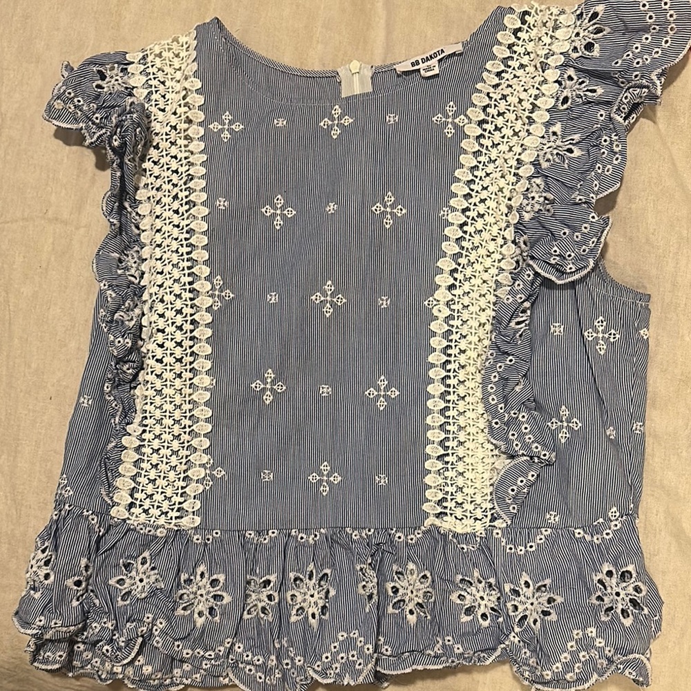 Blue and White Embroidered Ruffle Top